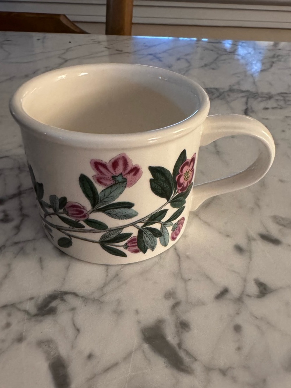 Portmeirion botanic garden teacup, like new